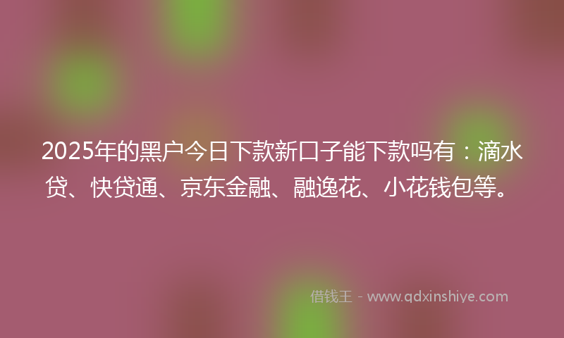 2025年的黑户今日下款新口子能下款吗有：滴水贷、快贷通、京东金融、融逸花、小花钱包等。