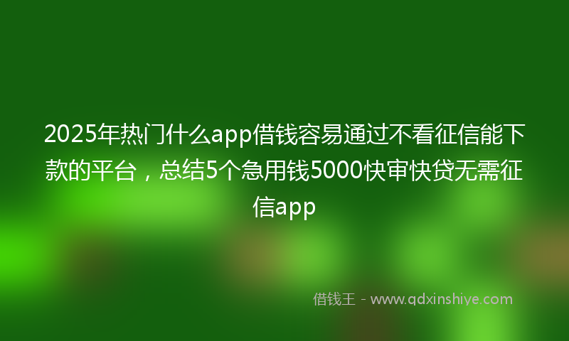 2025年热门什么app借钱容易通过不看征信能下款的平台，总结5个急用钱5000快审快贷无需征信app