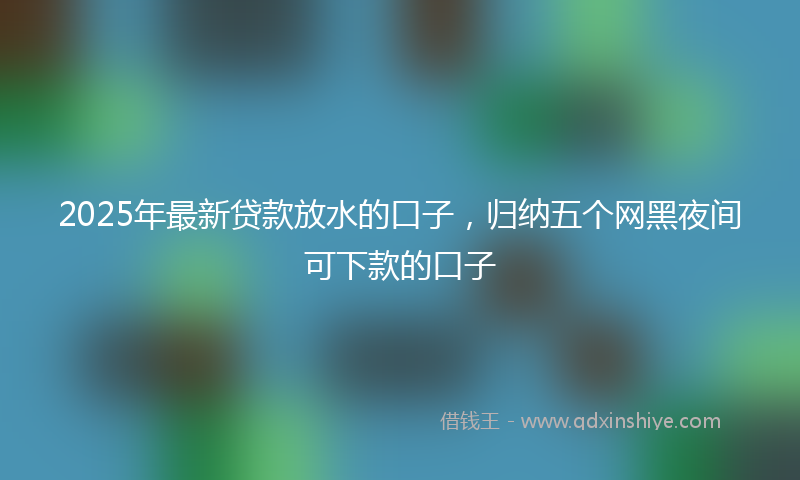 2025年最新贷款放水的口子，归纳五个网黑夜间可下款的口子