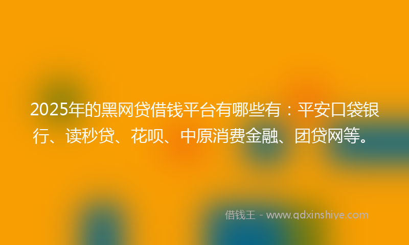 2025年的黑网贷借钱平台有哪些有：平安口袋银行、读秒贷、花呗、中原消费金融、团贷网等。