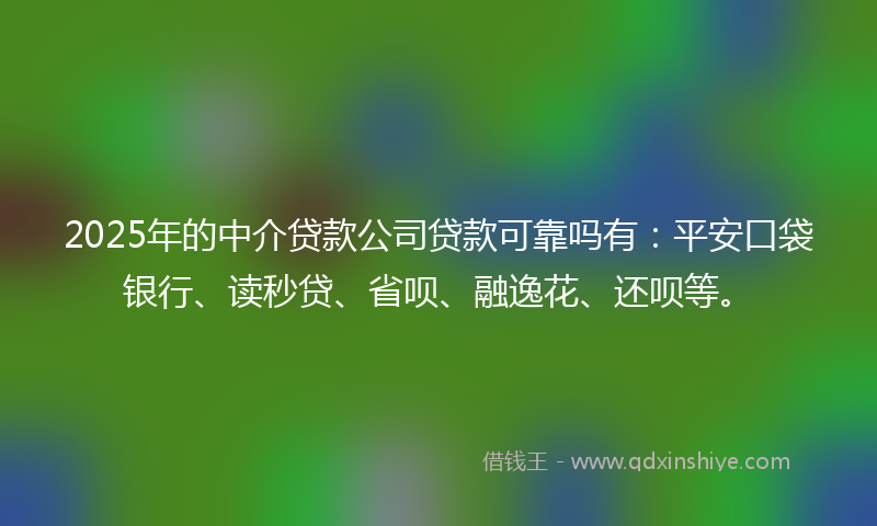 2025年的中介贷款公司贷款可靠吗有：平安口袋银行、读秒贷、省呗、融逸花、还呗等。