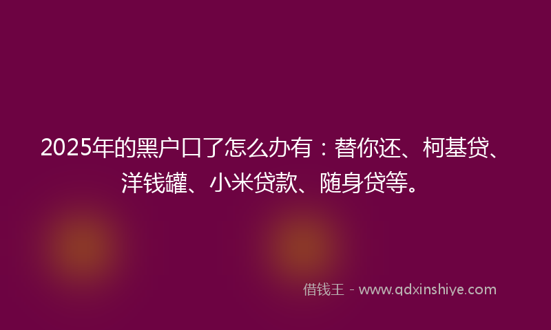 2025年的黑户口了怎么办有：替你还、柯基贷、洋钱罐、小米贷款、随身贷等。