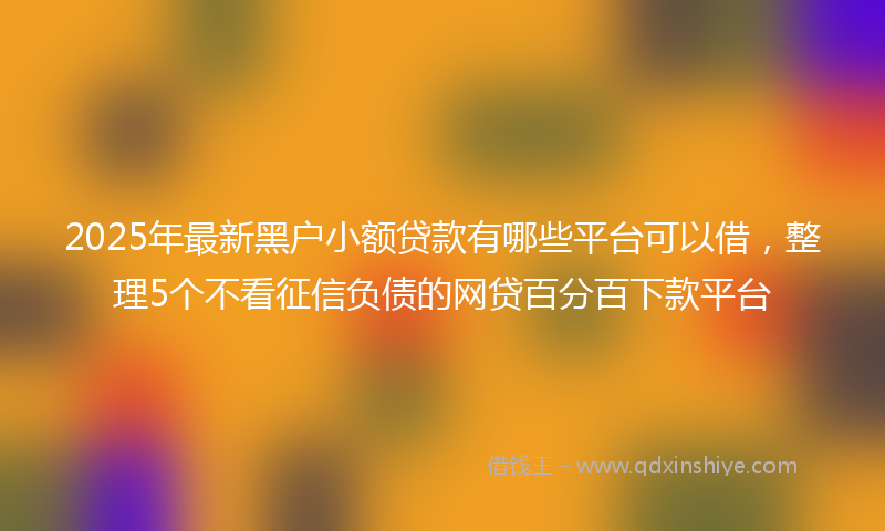 2025年最新黑户小额贷款有哪些平台可以借，整理5个不看征信负债的网贷百分百下款平台