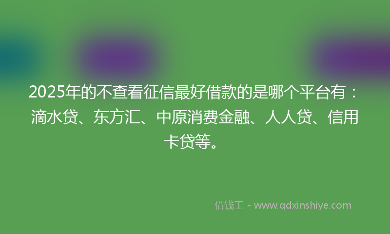 2025年的不查看征信最好借款的是哪个平台有：滴水贷、东方汇、中原消费金融、人人贷、信用卡贷等。