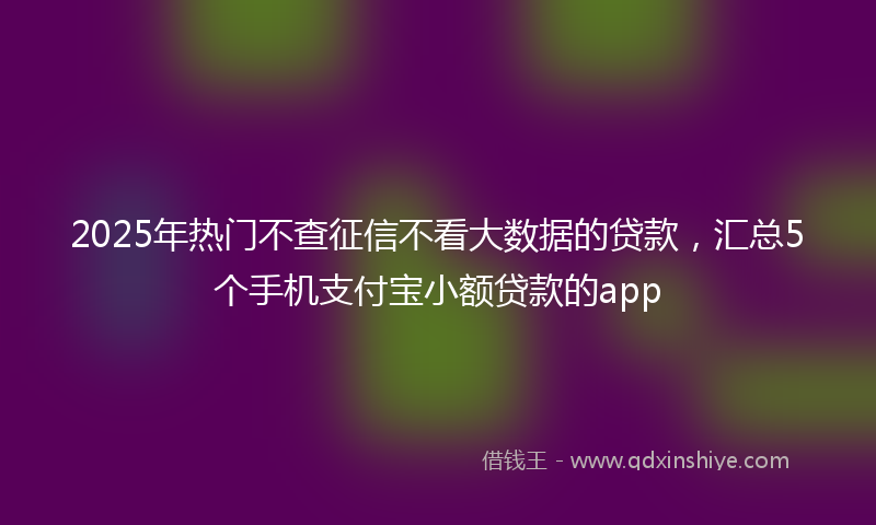 2025年热门不查征信不看大数据的贷款，汇总5个手机支付宝小额贷款的app