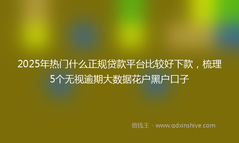 2025年热门什么正规贷款平台比较好下款，梳理5个无视逾期大数据花户黑户口子