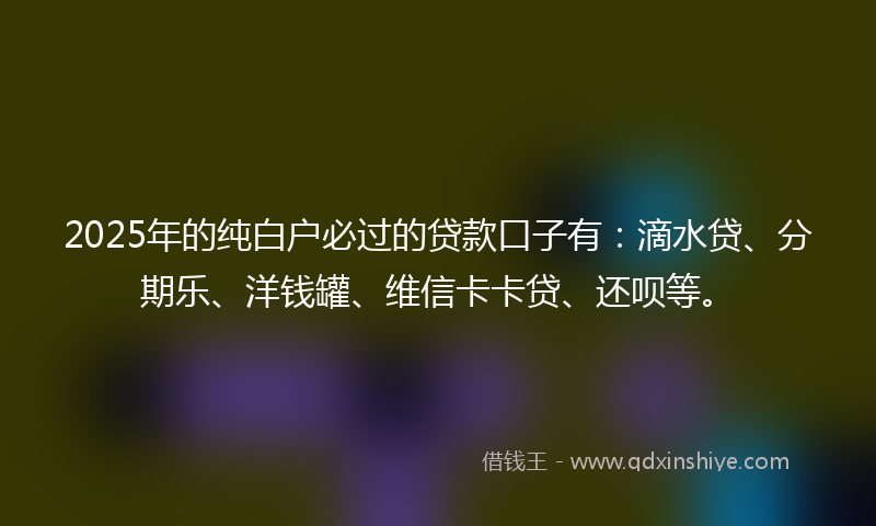 2025年的纯白户必过的贷款口子有：滴水贷、分期乐、洋钱罐、维信卡卡贷、还呗等。