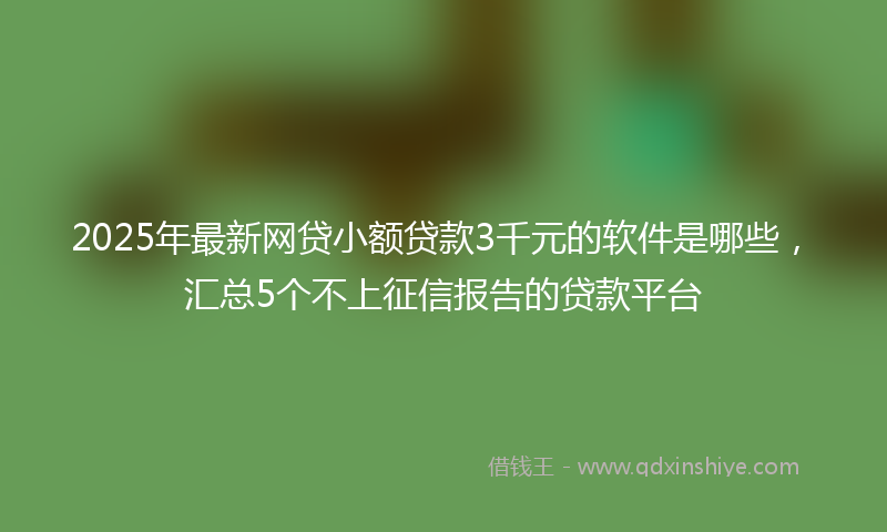 2025年最新网贷小额贷款3千元的软件是哪些，汇总5个不上征信报告的贷款平台