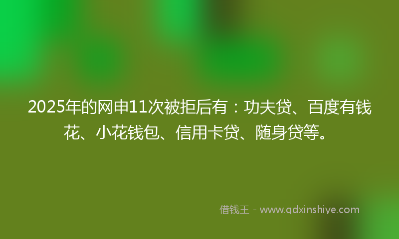 2025年的网申11次被拒后有：功夫贷、百度有钱花、小花钱包、信用卡贷、随身贷等。