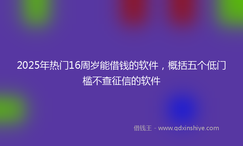 2025年热门16周岁能借钱的软件，概括五个低门槛不查征信的软件