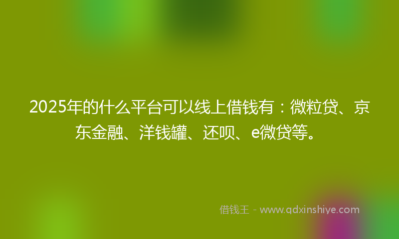 2025年的什么平台可以线上借钱有：微粒贷、京东金融、洋钱罐、还呗、e微贷等。