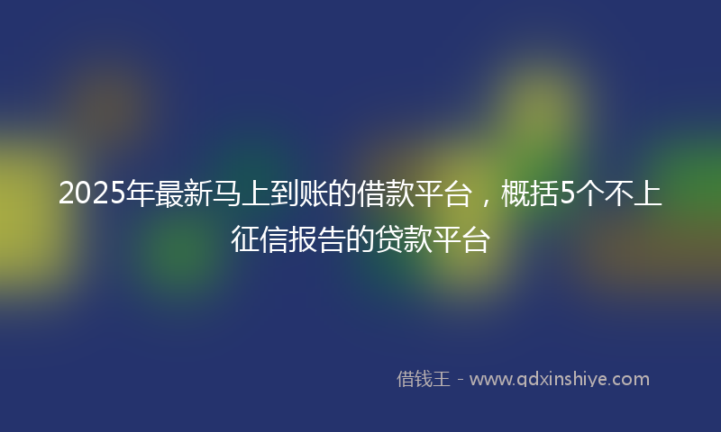 2025年最新马上到账的借款平台，概括5个不上征信报告的贷款平台