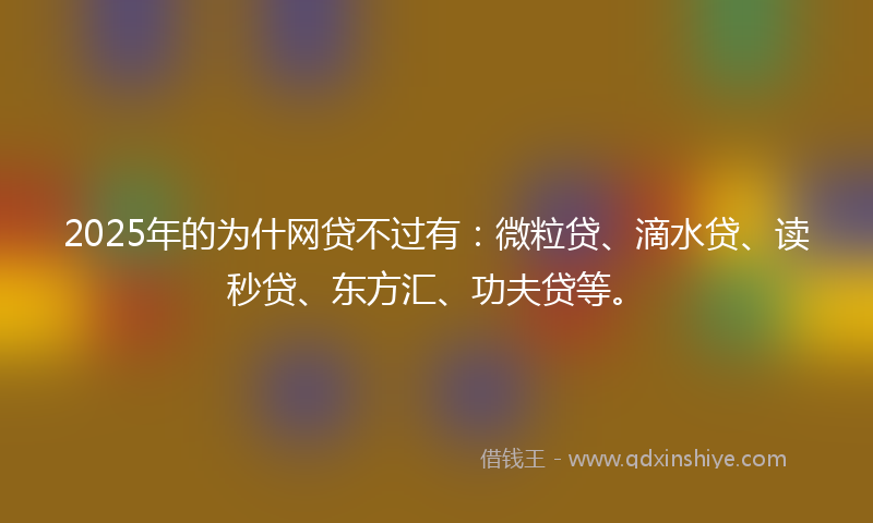 2025年的为什网贷不过有：微粒贷、滴水贷、读秒贷、东方汇、功夫贷等。