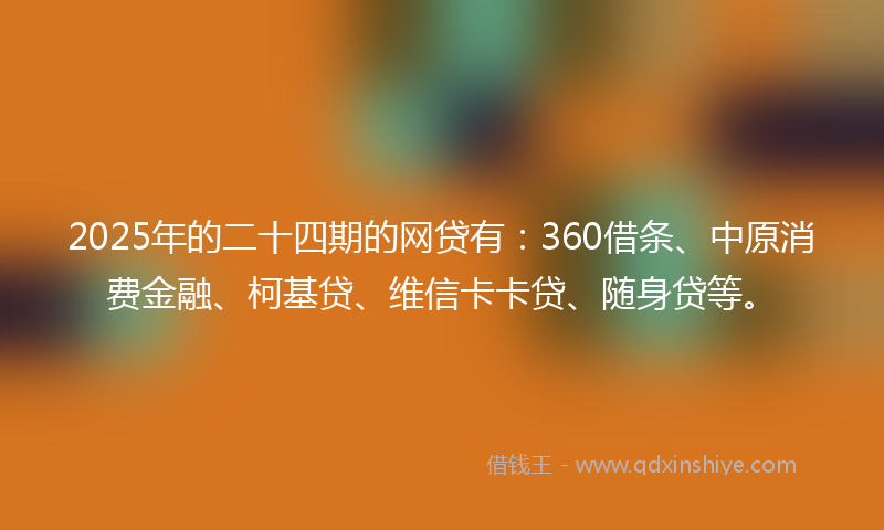 2025年的二十四期的网贷有：360借条、中原消费金融、柯基贷、维信卡卡贷、随身贷等。