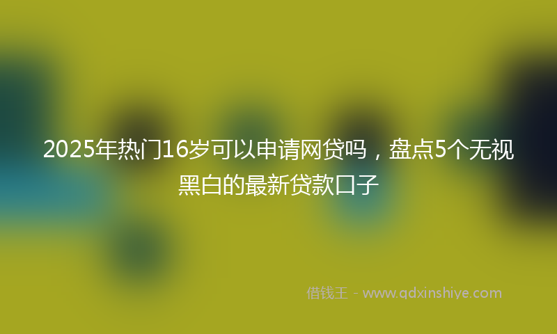 2025年热门16岁可以申请网贷吗，盘点5个无视黑白的最新贷款口子