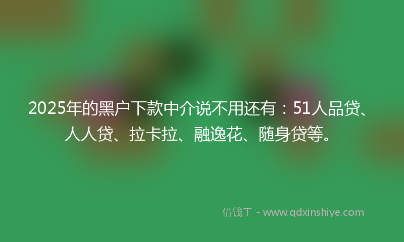 2025年的黑户下款中介说不用还有：51人品贷、人人贷、拉卡拉、融逸花、随身贷等。