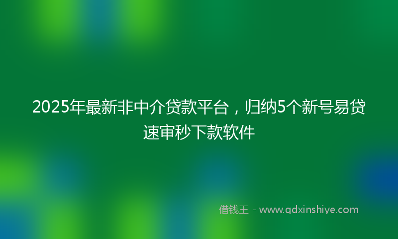 2025年最新非中介贷款平台，归纳5个新号易贷速审秒下款软件