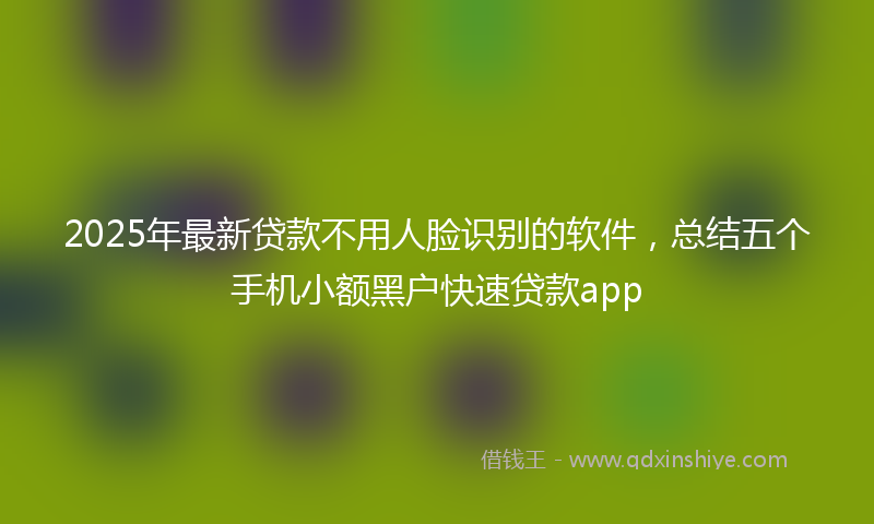 2025年最新贷款不用人脸识别的软件，总结五个手机小额黑户快速贷款app