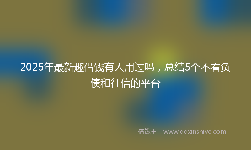 2025年最新趣借钱有人用过吗，总结5个不看负债和征信的平台
