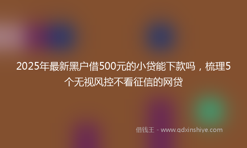 2025年最新黑户借500元的小贷能下款吗，梳理5个无视风控不看征信的网贷