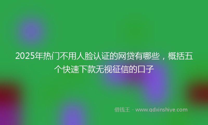 2025年热门不用人脸认证的网贷有哪些，概括五个快速下款无视征信的口子