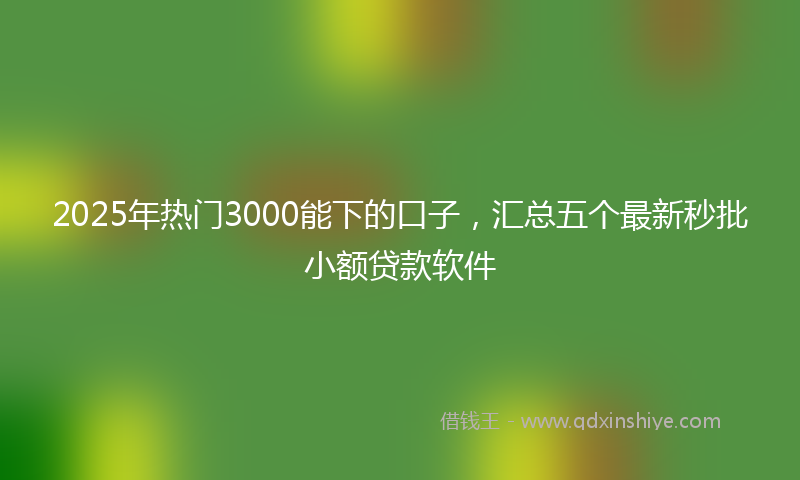 2025年热门3000能下的口子，汇总五个最新秒批小额贷款软件
