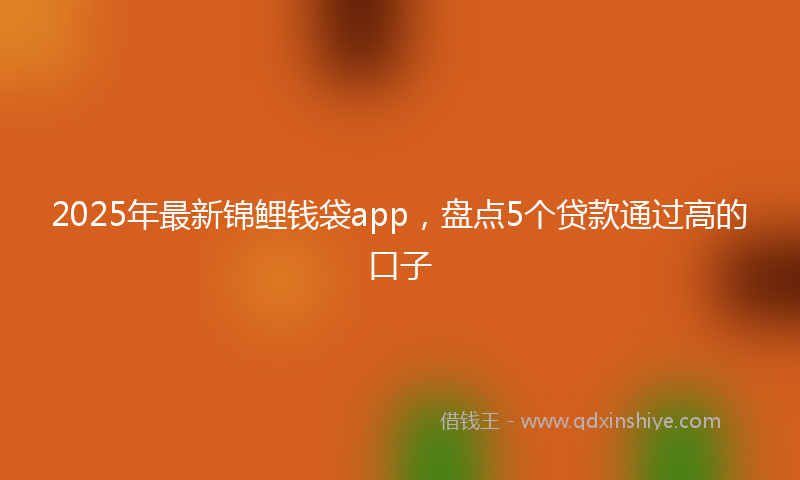 2025年最新锦鲤钱袋app，盘点5个贷款通过高的口子