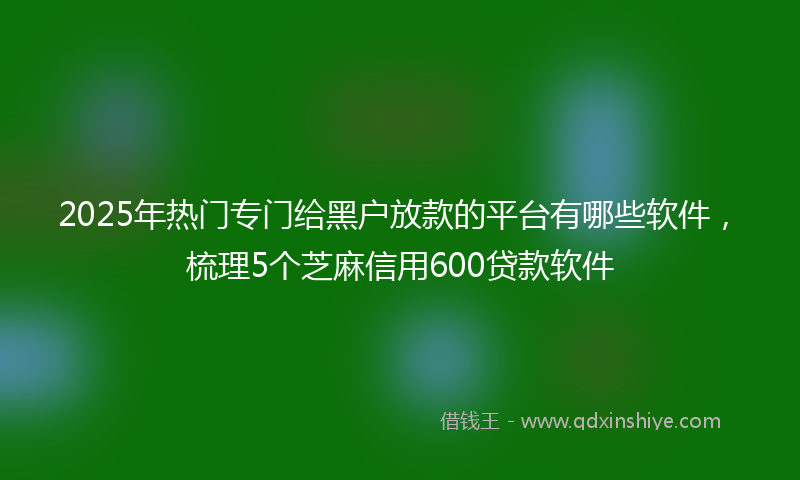 2025年热门专门给黑户放款的平台有哪些软件，梳理5个芝麻信用600贷款软件
