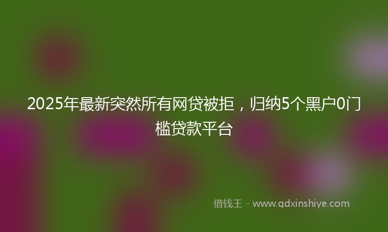 2025年最新突然所有网贷被拒，归纳5个黑户0门槛贷款平台