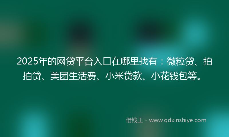 2025年的网贷平台入口在哪里找有：微粒贷、拍拍贷、美团生活费、小米贷款、小花钱包等。
