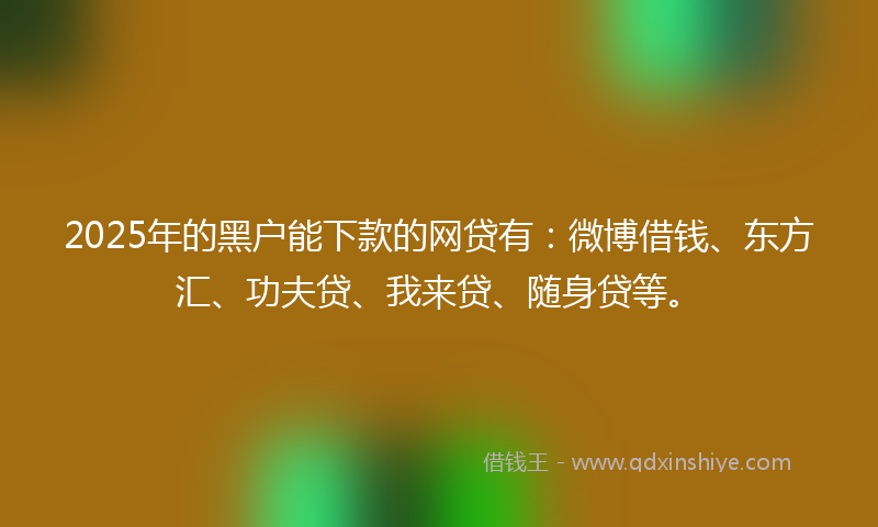 2025年的黑户能下款的网贷有：微博借钱、东方汇、功夫贷、我来贷、随身贷等。