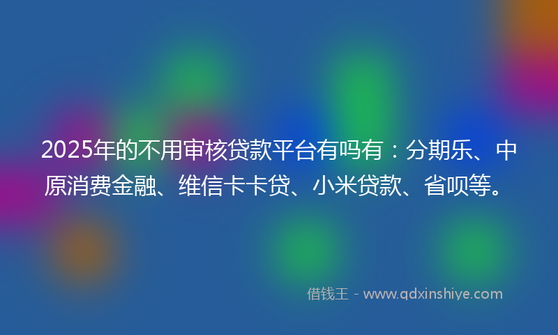 2025年的不用审核贷款平台有吗有：分期乐、中原消费金融、维信卡卡贷、小米贷款、省呗等。