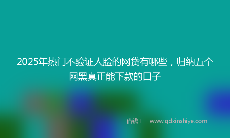 2025年热门不验证人脸的网贷有哪些，归纳五个网黑真正能下款的口子