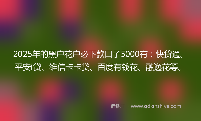 2025年的黑户花户必下款口子5000有：快贷通、平安i贷、维信卡卡贷、百度有钱花、融逸花等。
