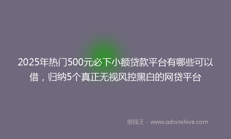 2025年热门500元必下小额贷款平台有哪些可以借，归纳5个真正无视风控黑白的网贷平台