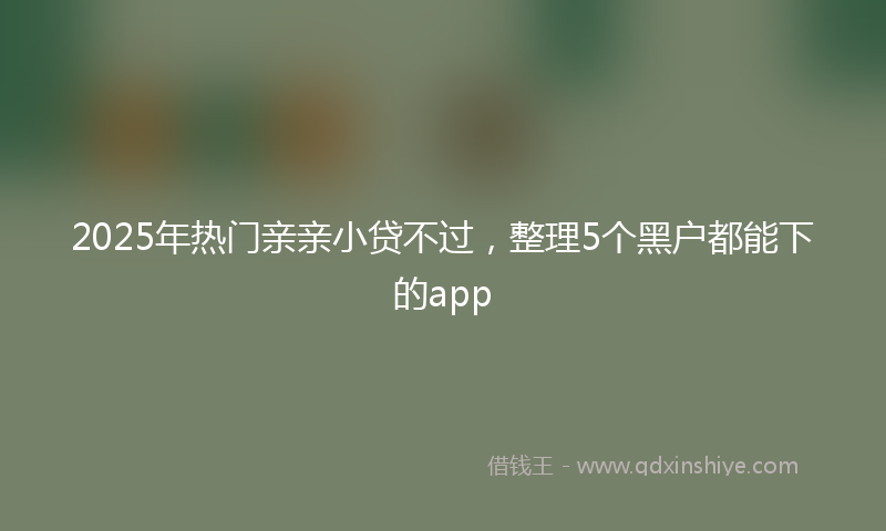 2025年热门亲亲小贷不过，整理5个黑户都能下的app