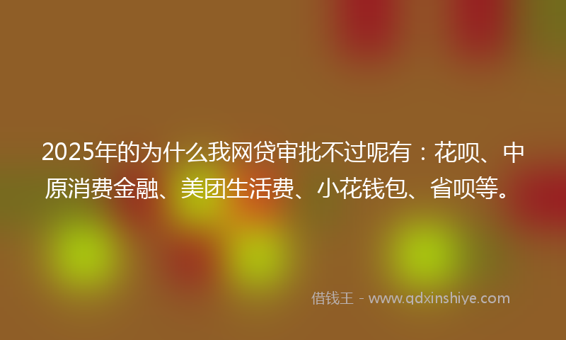 2025年的为什么我网贷审批不过呢有：花呗、中原消费金融、美团生活费、小花钱包、省呗等。