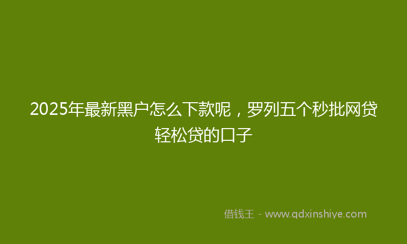 2025年最新黑户怎么下款呢,罗列五个秒批网贷轻松贷的口子