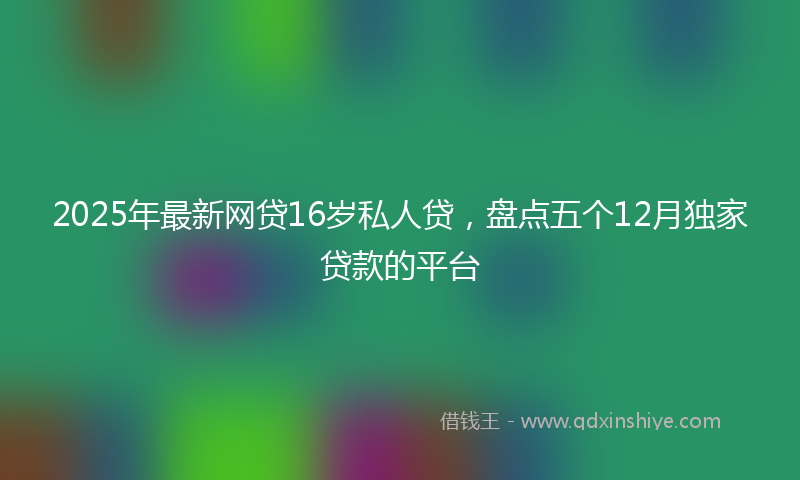 2025年最新网贷16岁私人贷，盘点五个12月独家贷款的平台