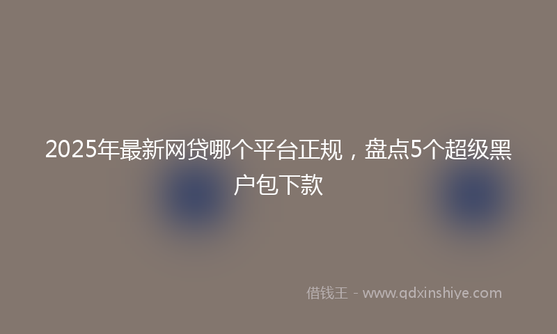 2025年最新网贷哪个平台正规，盘点5个超级黑户包下款