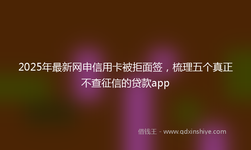 2025年最新网申信用卡被拒面签，梳理五个真正不查征信的贷款app