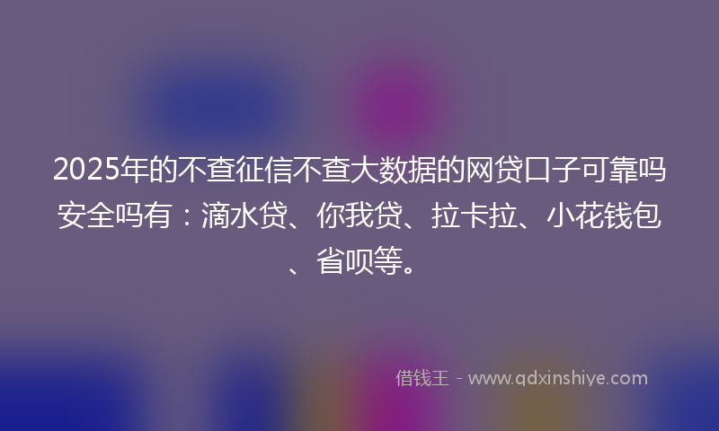 2025年的不查征信不查大数据的网贷口子可靠吗安全吗有：滴水贷、你我贷、拉卡拉、小花钱包、省呗等。