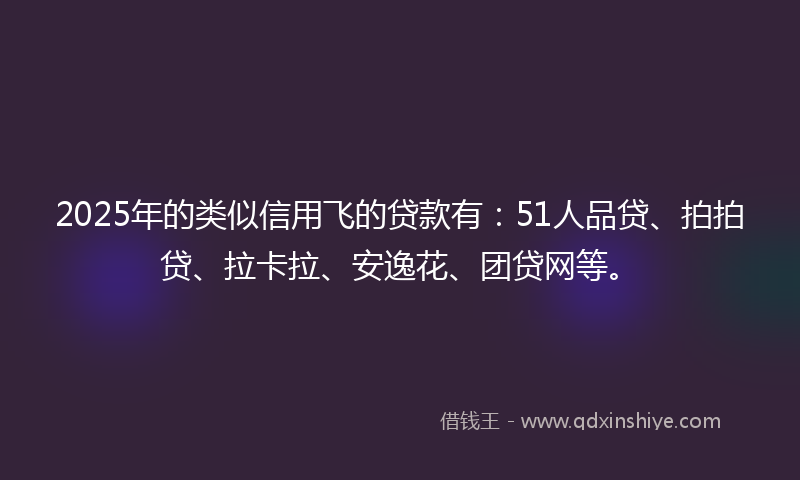 2025年的类似信用飞的贷款有：51人品贷、拍拍贷、拉卡拉、安逸花、团贷网等。