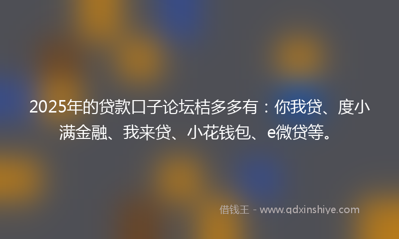 2025年的贷款口子论坛桔多多有：你我贷、度小满金融、我来贷、小花钱包、e微贷等。