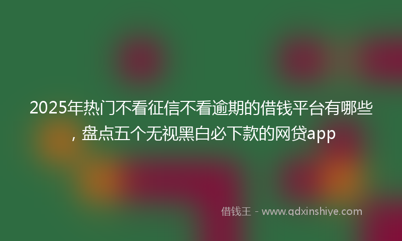 2025年热门不看征信不看逾期的借钱平台有哪些，盘点五个无视黑白必下款的网贷app