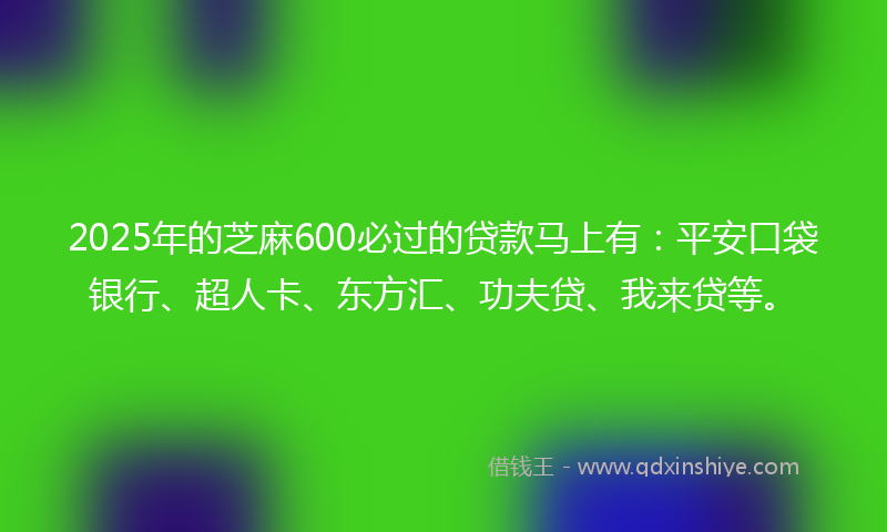 2025年的芝麻600必过的贷款马上有：平安口袋银行、超人卡、东方汇、功夫贷、我来贷等。