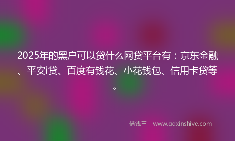 2025年的黑户可以贷什么网贷平台有：京东金融、平安i贷、百度有钱花、小花钱包、信用卡贷等。