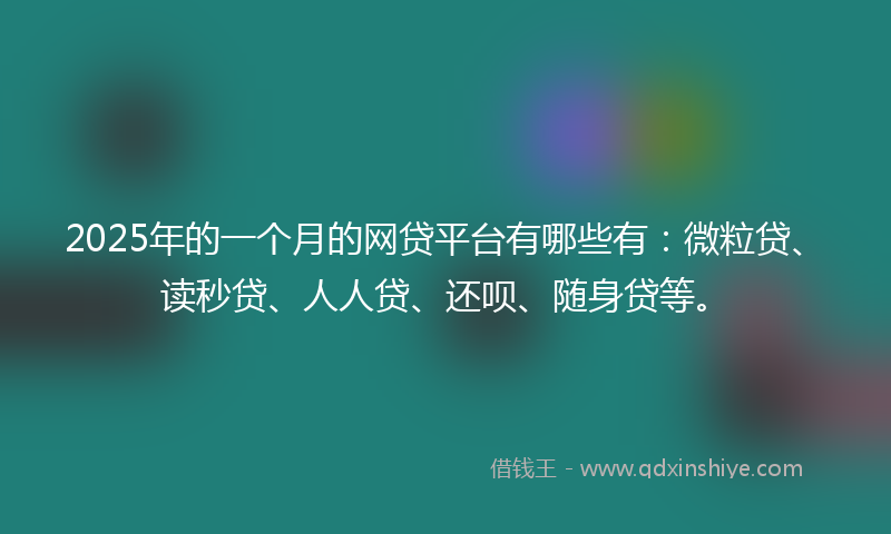 2025年的一个月的网贷平台有哪些有：微粒贷、读秒贷、人人贷、还呗、随身贷等。