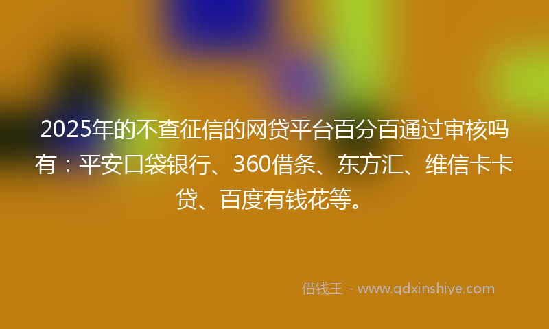 2025年的不查征信的网贷平台百分百通过审核吗有：平安口袋银行、360借条、东方汇、维信卡卡贷、百度有钱花等。