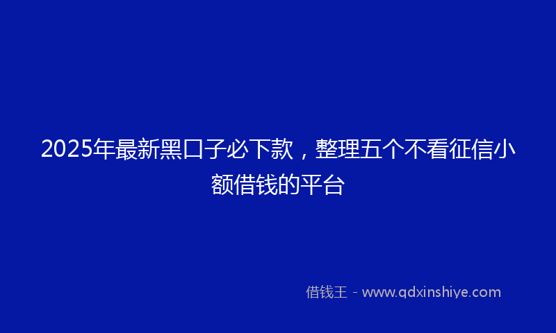 2025年最新黑口子必下款，整理五个不看征信小额借钱的平台